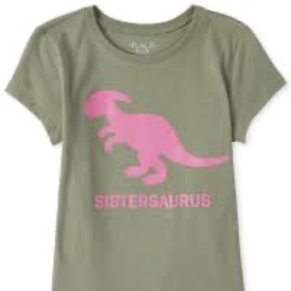 Sistersaurus Children’s place Shirt